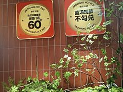 -椒王