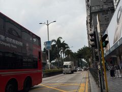 -九龙公园