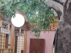 -红叶日料·放题·海胆·定食(星海店)