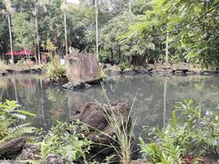 -海口火山口国家地质公园
