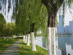 -天鹅湖体育公园