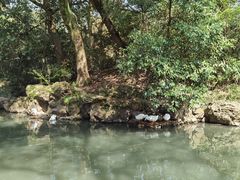 -兰亭风景区