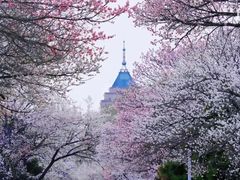 -吉林大学(南岭校区)