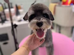 -FAELING PETS美天灵宠物(合生汇店)