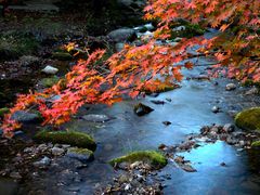 景点-本溪老边沟风景区