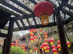-峨眉山报国寺