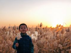 -绿堤公园