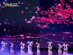 -DC少儿舞蹈培训中心(人民桥店)