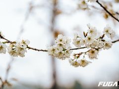 -范记豆花庄(东门好吃街店)