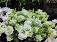 -ChaKo Flora ·茶子花艺 (市北店)