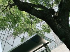 -中央广播电视总台(光华路办公区)