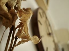 -信马画室 成人零基础到个人创作画室(亚运村店)