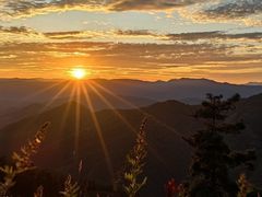 -长虫山生态公园风景林