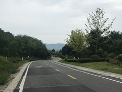 -铁山坪森林公园