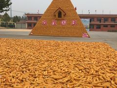 -北戴河集发农业梦想王国