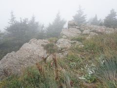 -白草畔自然风景区