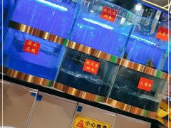 水产区-蛙一刀·麻椒鱼火锅(金仙桥店)