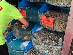 -北戴河庆山饭店·海鲜砂锅粥(北戴河黑石路店)