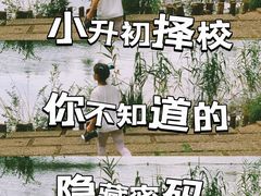 -杭州观成实验学校