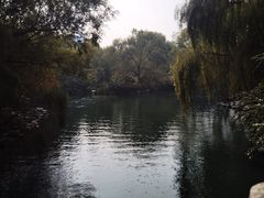 -百脉泉景区
