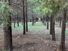-东升八家郊野公园