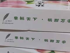 -老袁家蜜桃农场·阳山水蜜桃