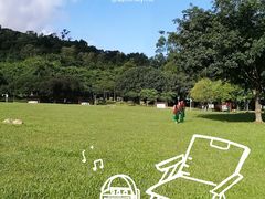 -火炉山森林公园