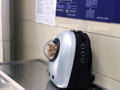 -申普宠物医院·眼科·心内科·影像科(普陀分院)