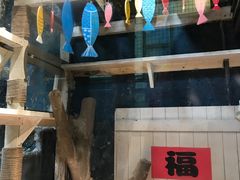 -猫咪博物馆(顶澳仔猫街店)