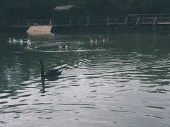 -溱湖国家湿地公园