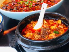 -陈麻婆豆腐总店