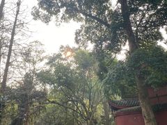 -峨眉山报国寺