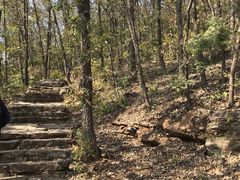 -北京上方山国家森林公园