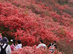 -木兰云雾山