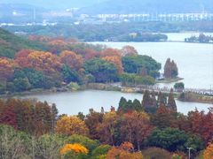 -宝界山林公园