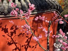 -红螺寺