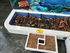 -益利大酒楼(井岸店)