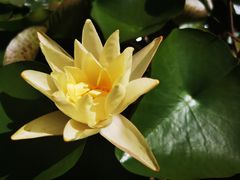 -柳蛳蛳螺蛳粉(朱辛庄TBD店)