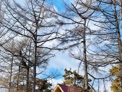 -长春市南湖公园