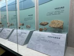 -云南省博物馆