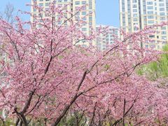 -白塘生态植物园