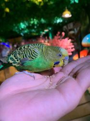 点击看大图 -酷嗒动物文化乐园(cutezoo西溪乐天城店)