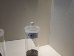 -广东中医药博物馆