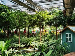 -南宫五洲植物乐园