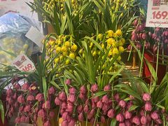 -山东嘉汇文化用品有限公司张店凤凰国际分公司(新村西路店)