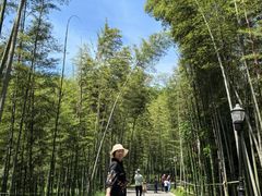 -潜山国家森林公园