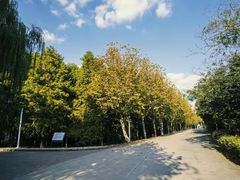 -太阳岛度假酒店