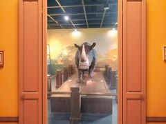 -广东中医药博物馆
