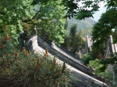 -潭柘寺景区