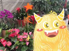 -金陵花卉交易市场